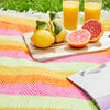 Stripe Waterproof Polo Picnic Blanket - Refresh Pink