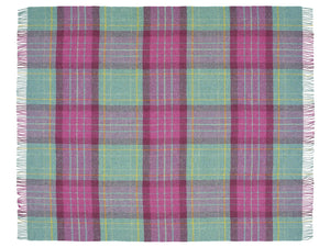 Saltburn Check Pure New Wool Throw - Cerise